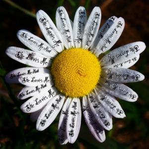 she-loves-me-she-loves-me-not-bill-cannon_square