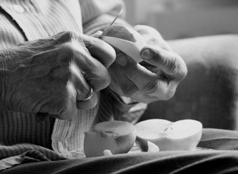 apple_by_webworm-dvclpc