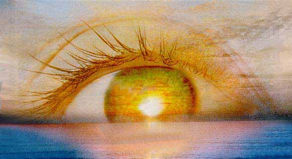 6a00d8341bf7f753ef00e54f1592558833-800wi