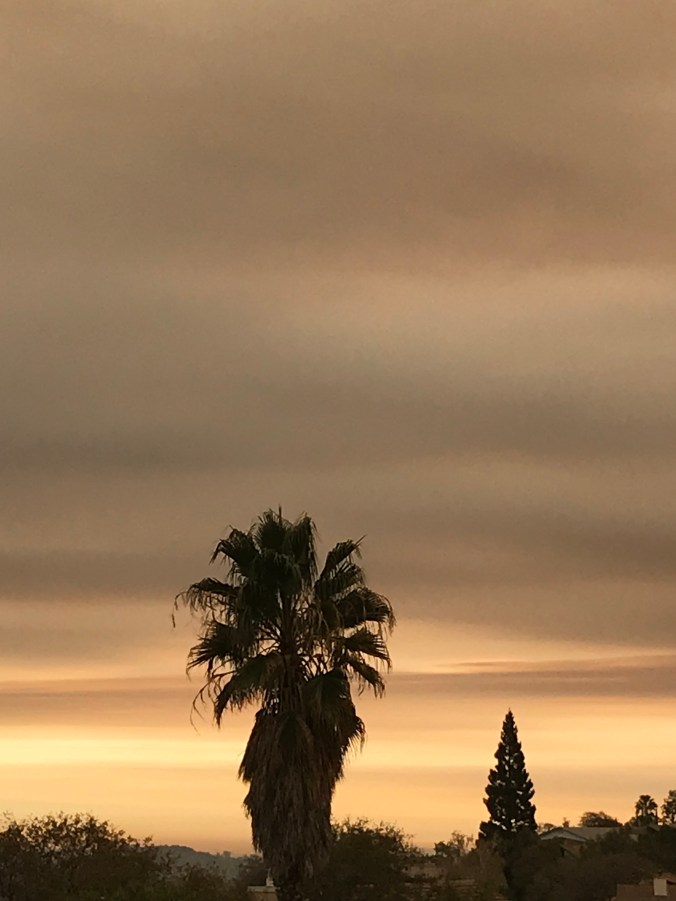 1P9pZi3AQ9a1pvARDGGWig