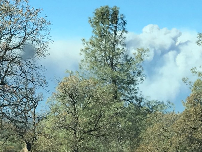 3GGHoGUtT2eMH63LgguI%w