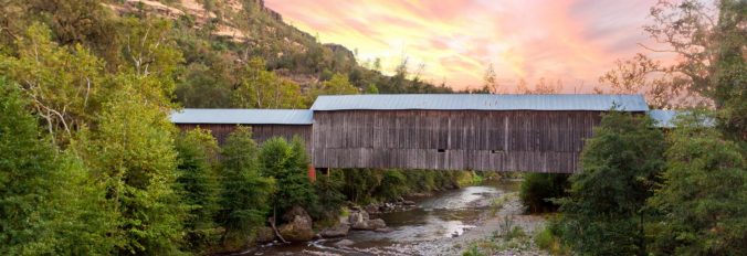 cropped-trecc81creative-photographers-00042