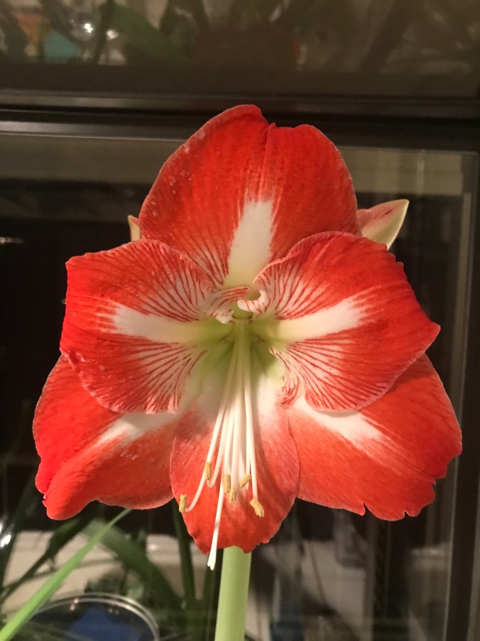 8DMgu0U8T2Ou8gho9v21wg